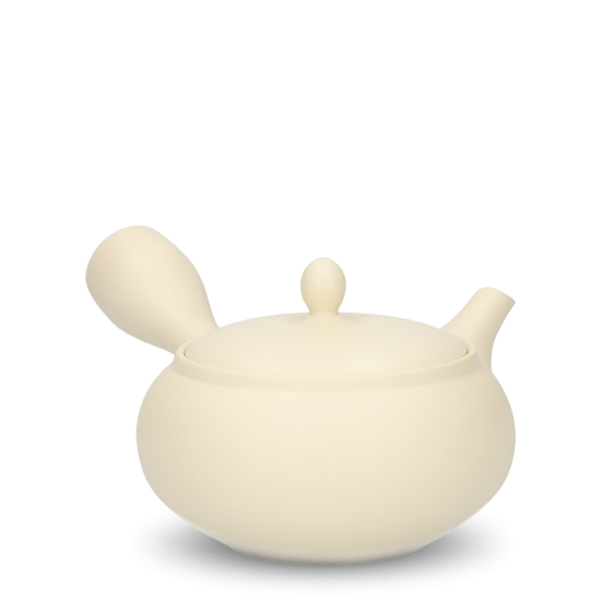 Kyusu Tokoname Morimasa