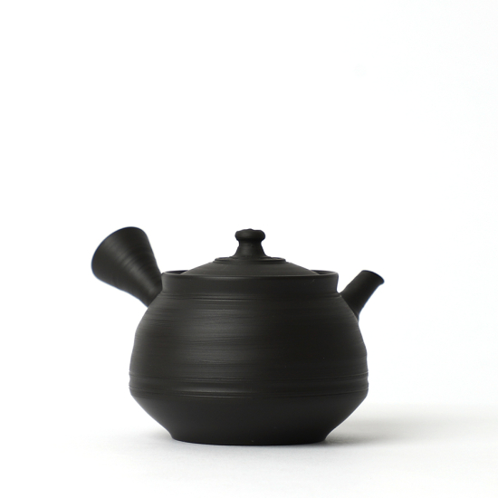 Kyusu Tokoname Fugetsu Fujigata