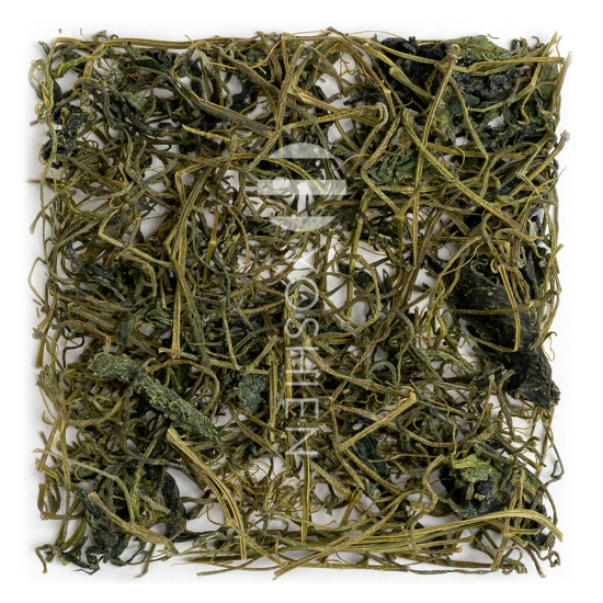 Jiaogulan à 5 feuilles