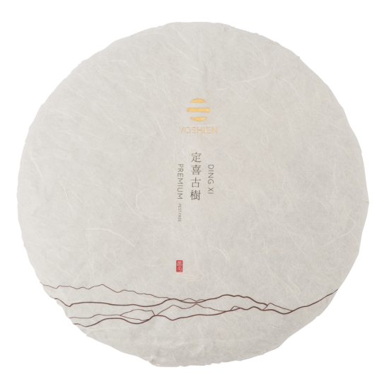 Ding Xi 2021 Sheng Pu Erh 357g Cake