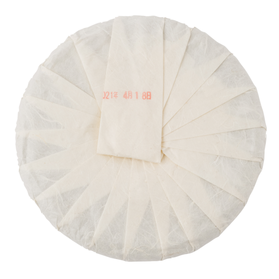 Ding Xi 2021 Sheng Pu Erh 357g Cake
