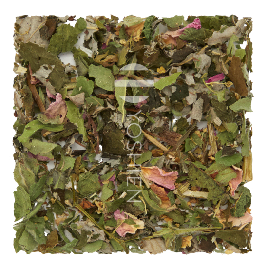 Cycle I Femme Balance