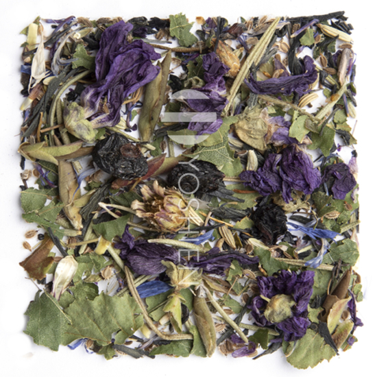 Phytovision Support Phyto Harmony Bundle