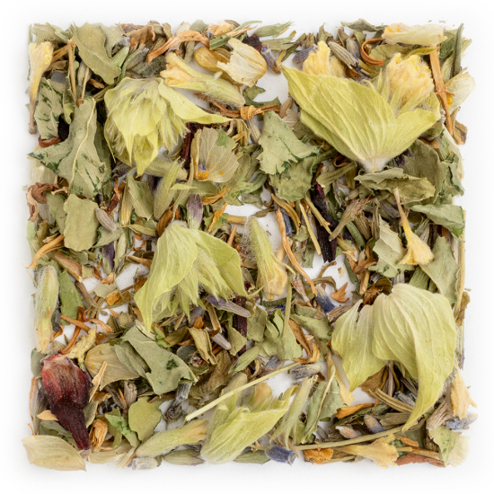 Tisane Good Night Valériane, Phyto Harmonie bio