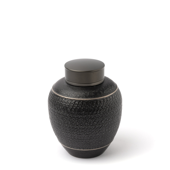 Jingdezhen Eisenglasur Teedose