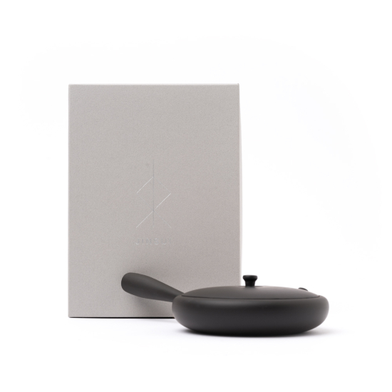 Kyusu Tokoname Jinsui Toki Hira Black