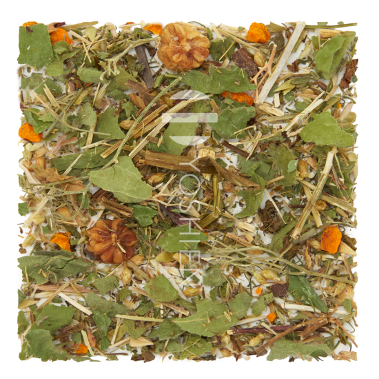 Femme Balance Myomevening Bio