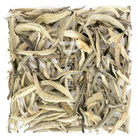 Guangxi Silver Needle