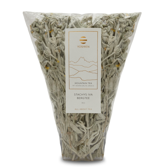 Stachys Iva Mountain Tea Bio