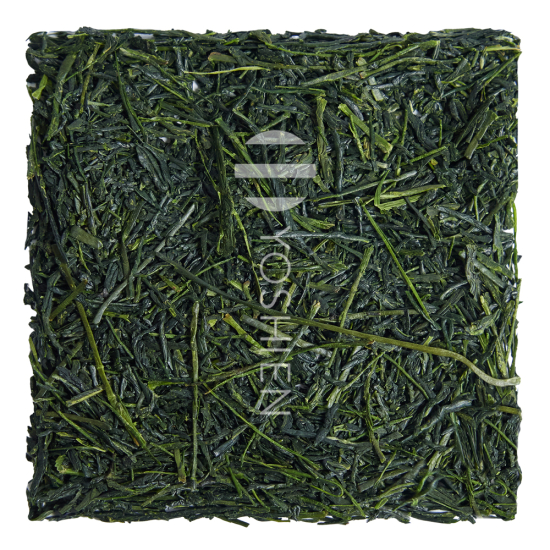 Gyokuro Sakamoto Haruto Bio