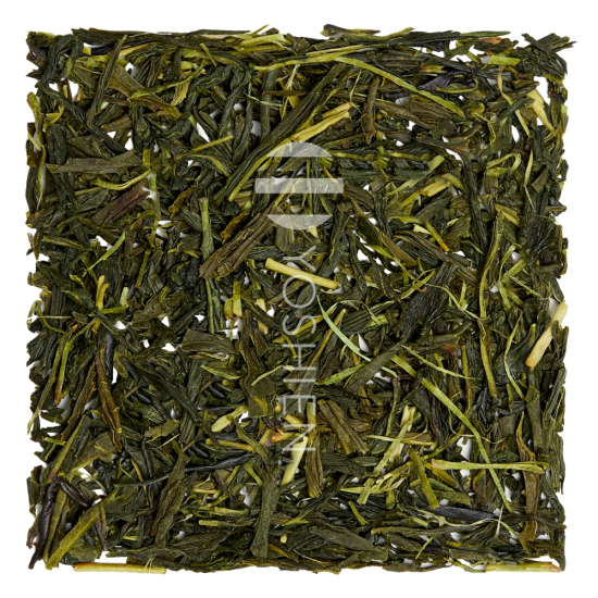 GABA Tee 130 Fuji Premium