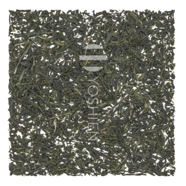Sencha Takaki Yabukita from Hoshino, Yame