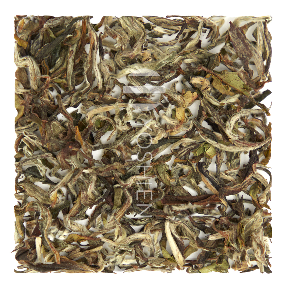 White Darjeeling