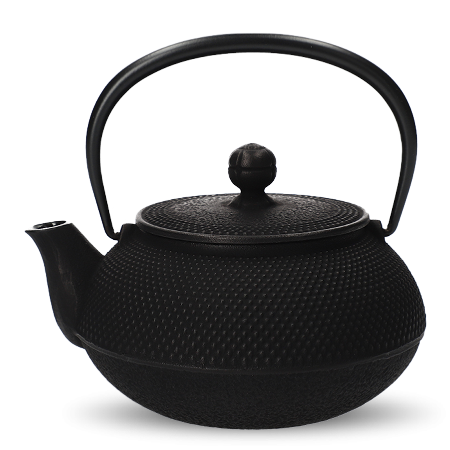 Kyusu en fonte
