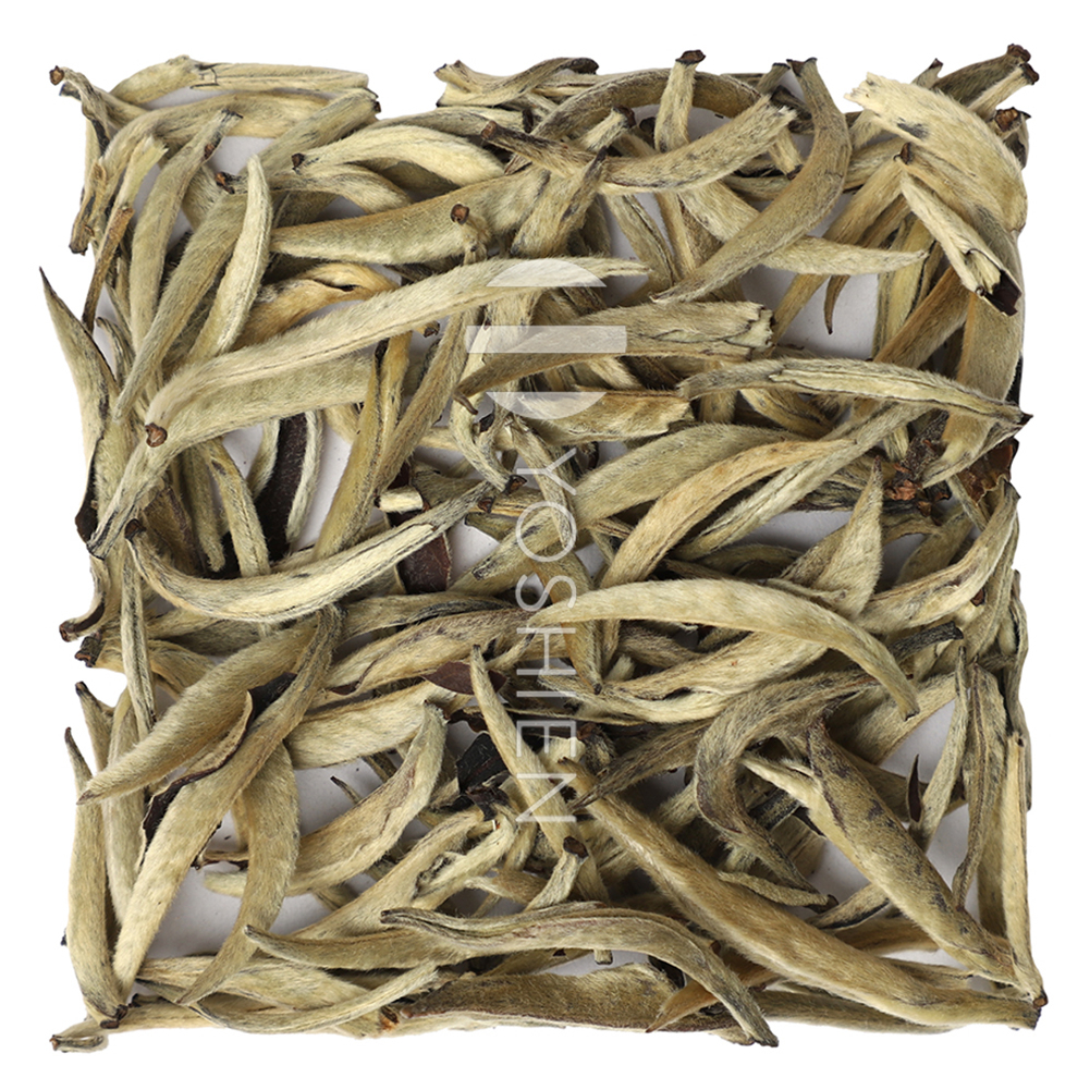 Guangxi Yinzhen
