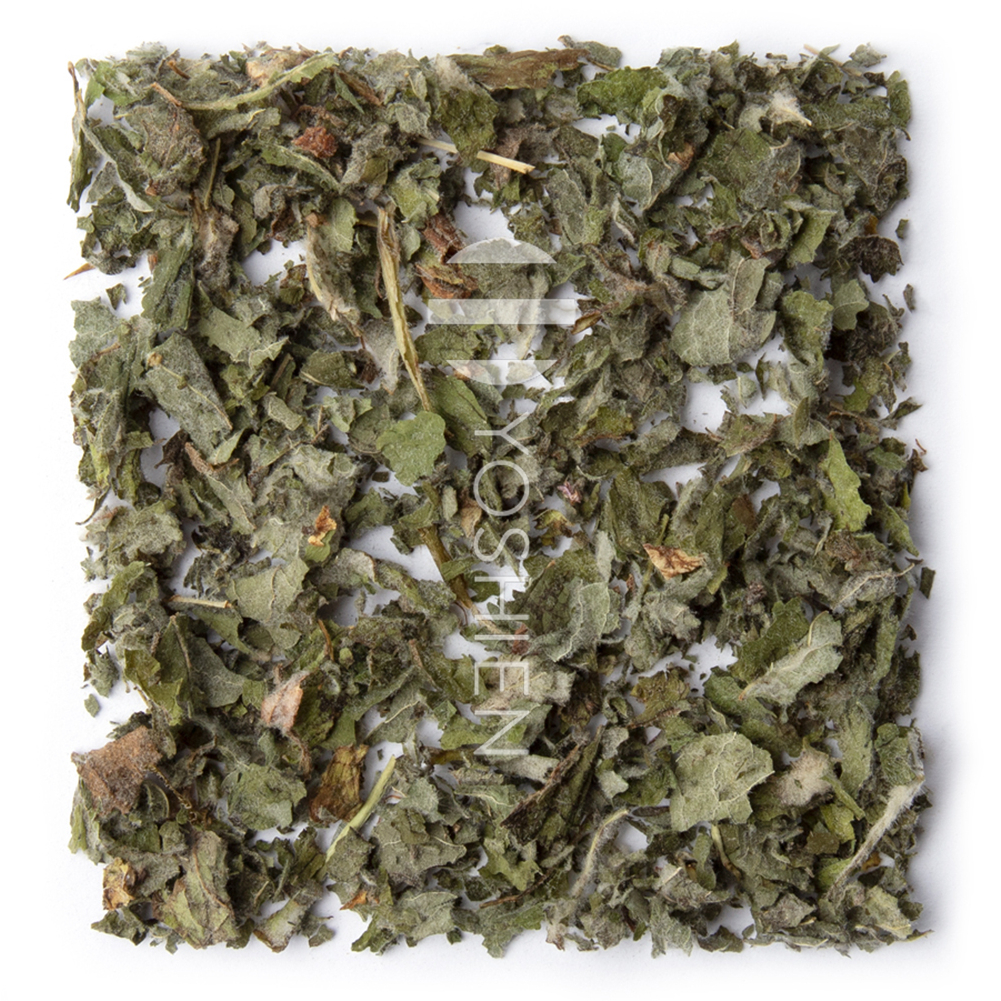 Apple Mint