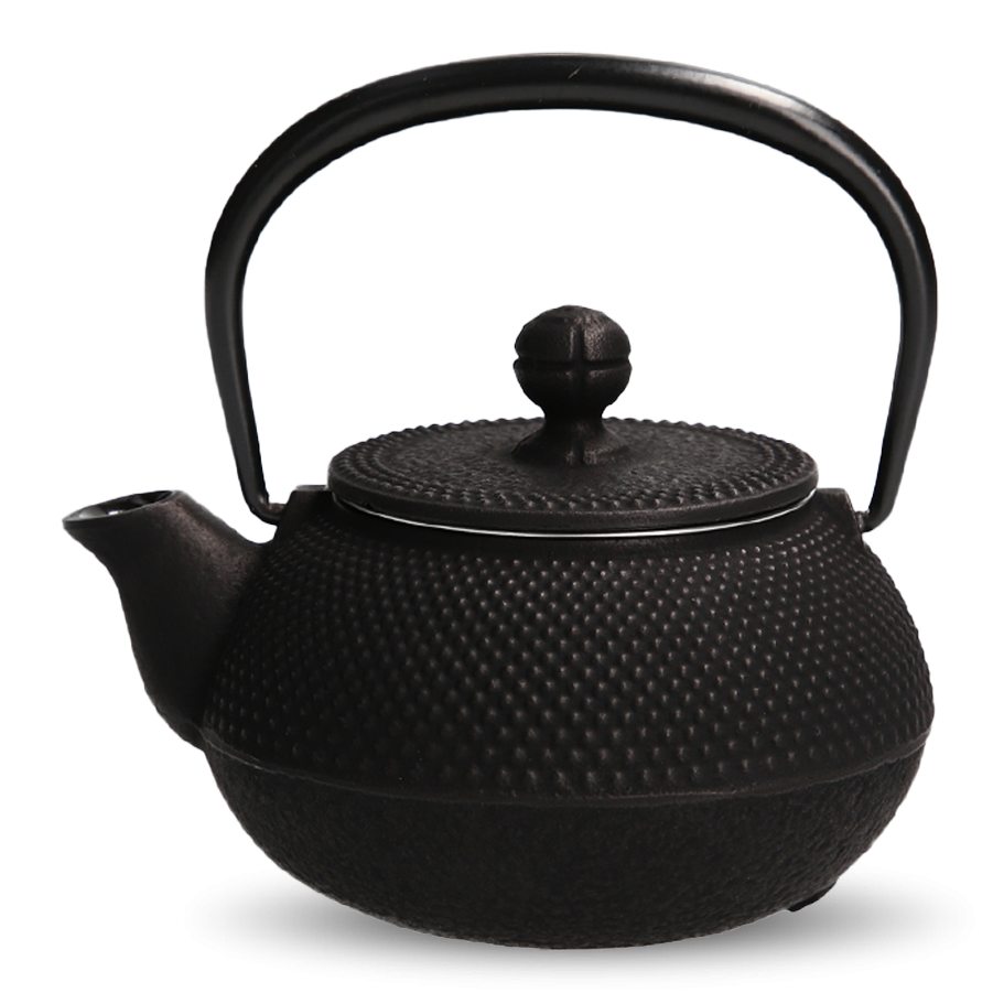 Cast Iron Kyusu
