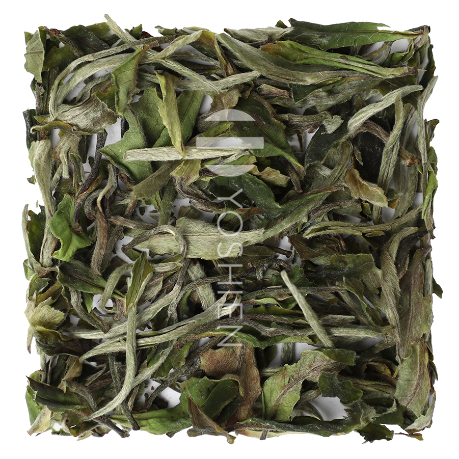 Bai Mu Dan
