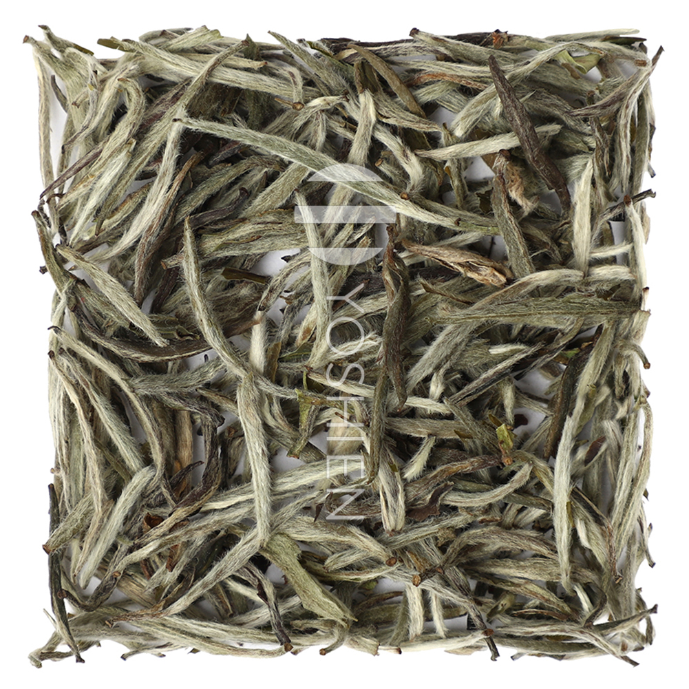 Silver Needle
