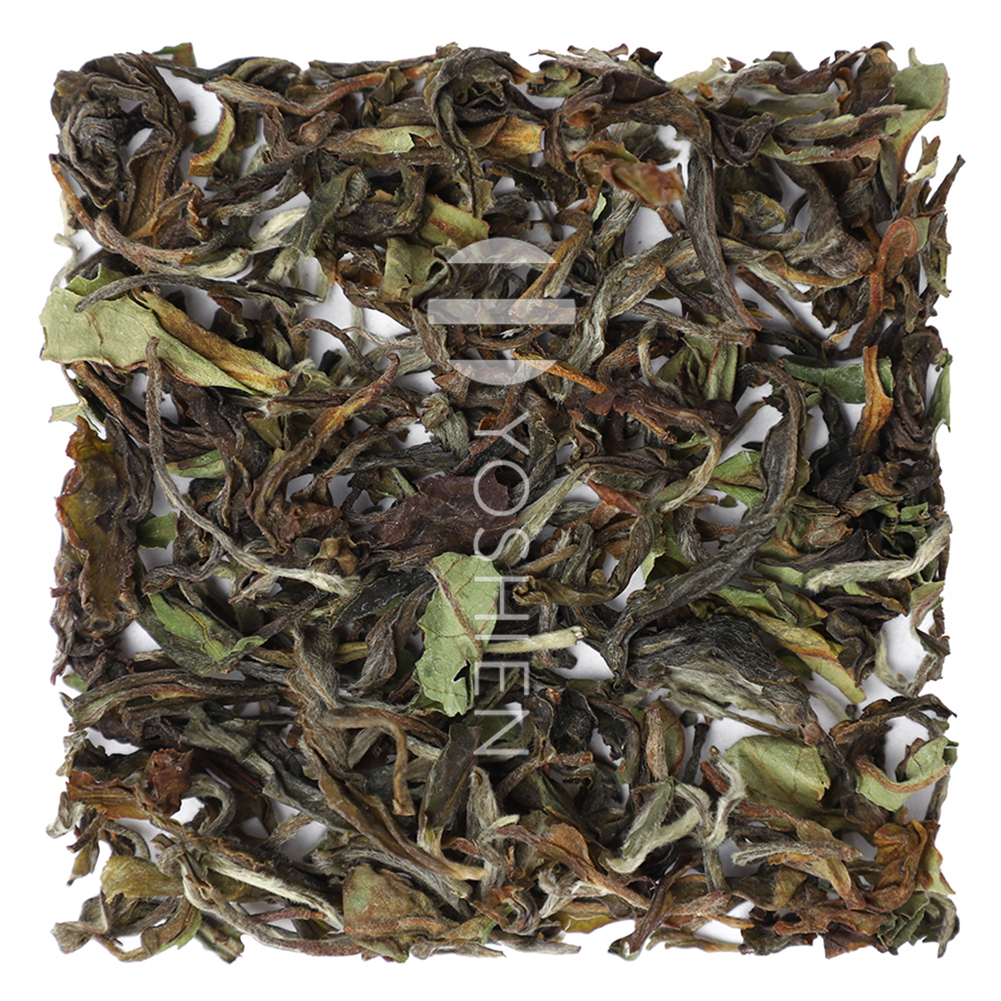 Darjeeling blancs
