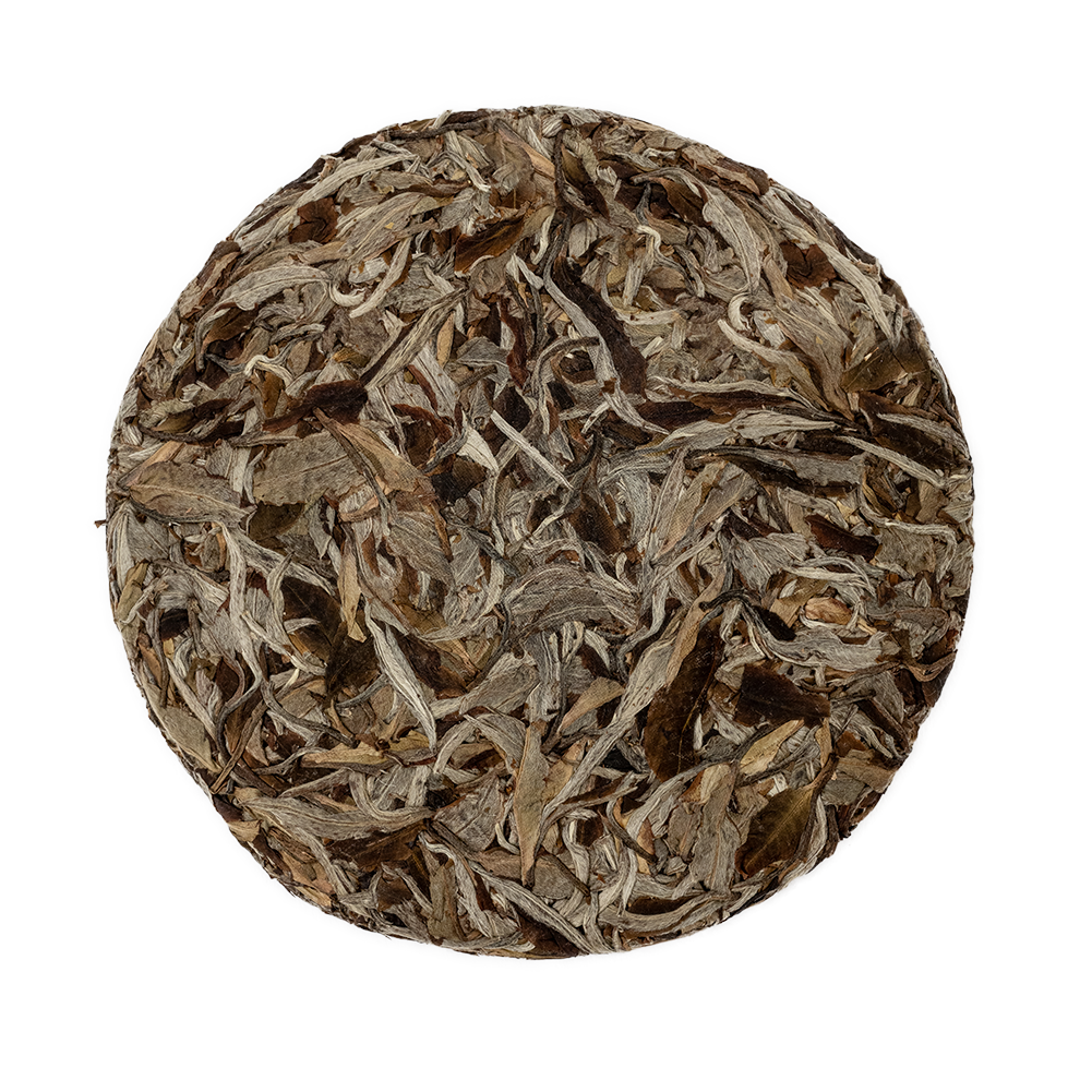 Aged White
