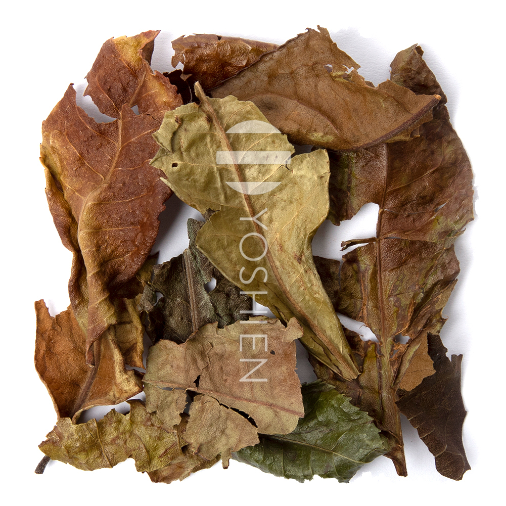 Aged Loose Leaf
